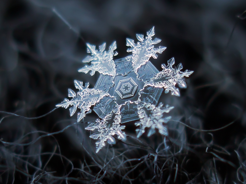 snowflake by chaoticmind75 d5nmn311