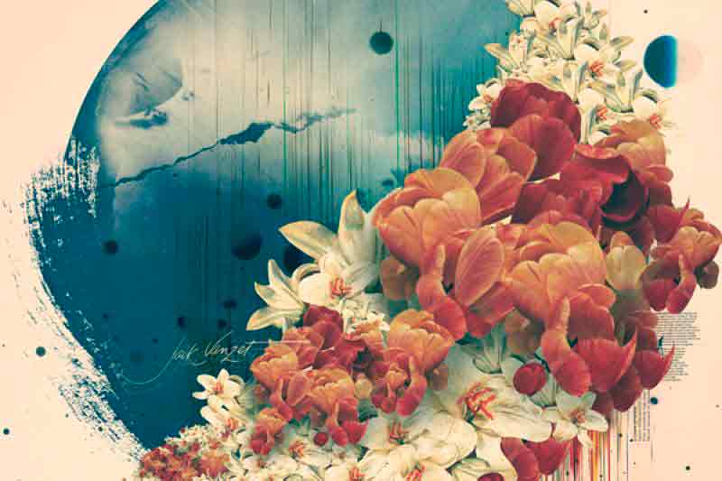 MeoMusicTR - Tüm Albüm ve Şarkılarımız