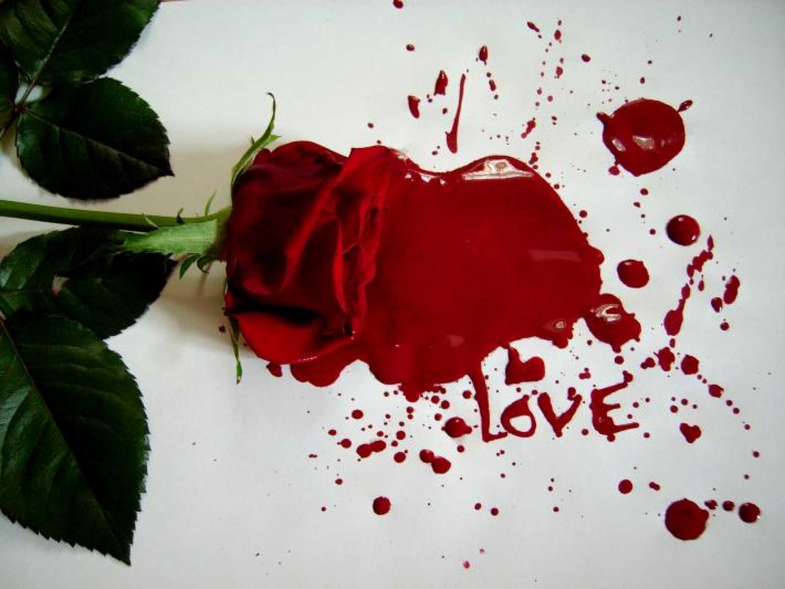 У влюбленного в крови. Разбитые розы.
