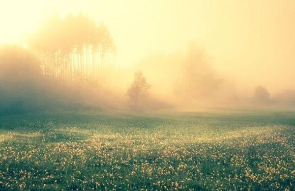 Pic.: "Misty Morning Premade" by IsabellWeise