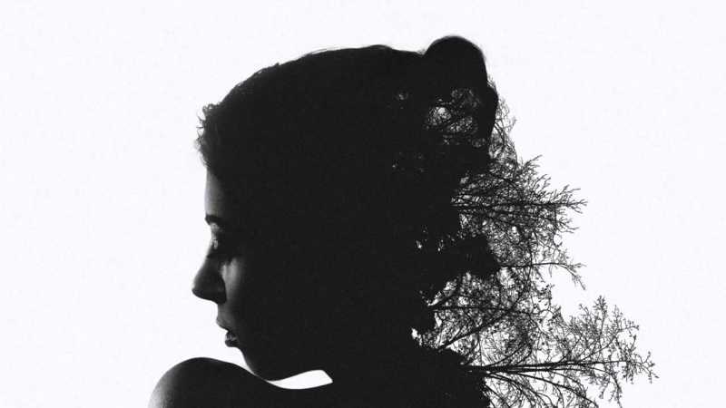 MeoEdebiyat - Müzik Blog