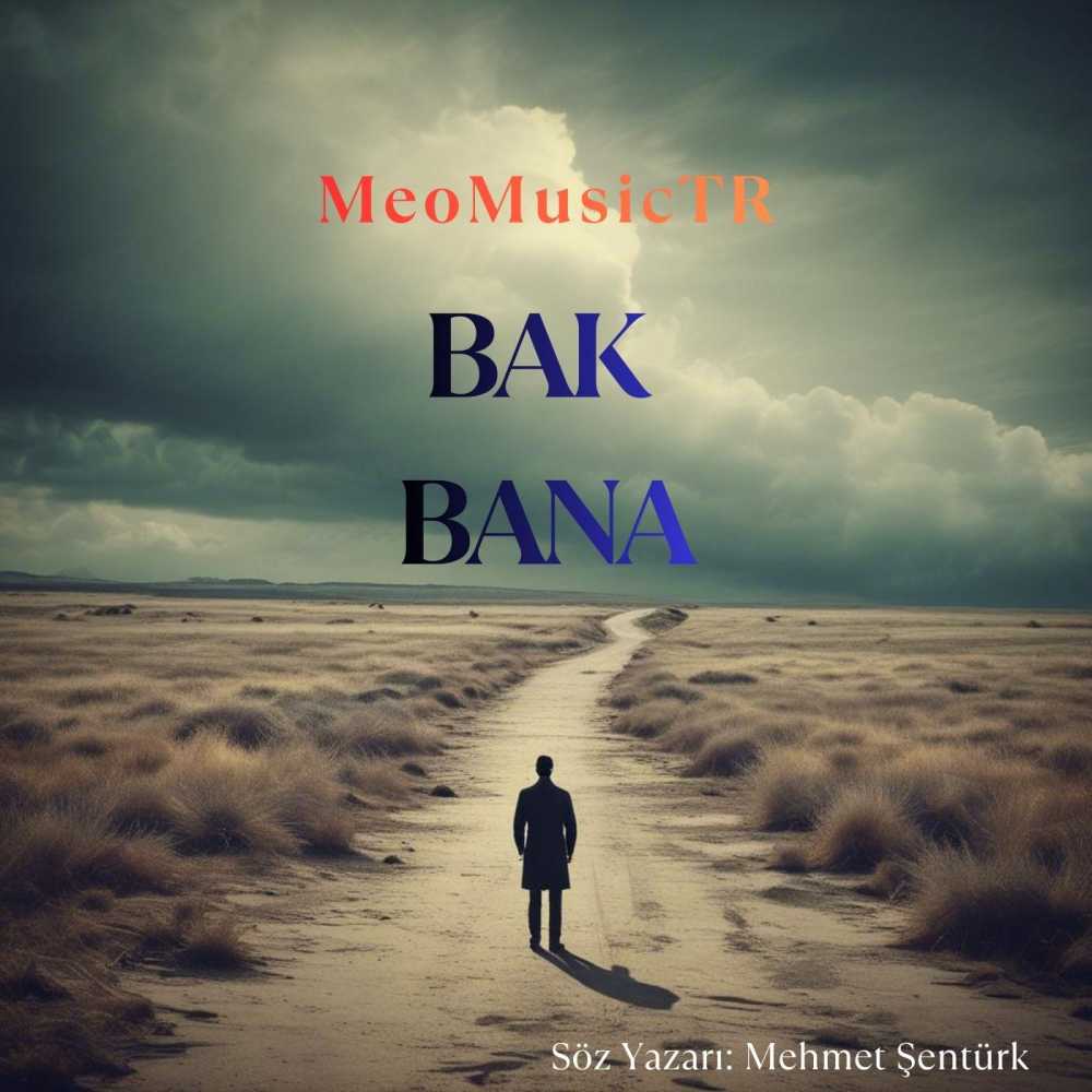 MeoMusicTR - Göçmen Kuşlar
