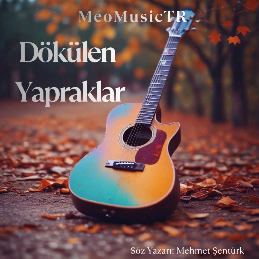 MeoMusicTR - Göçmen Kuşlar