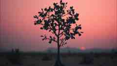 MeoMusicTR - Sevdanın Sessiz Notaları - ŞARKI SÖZLERİ