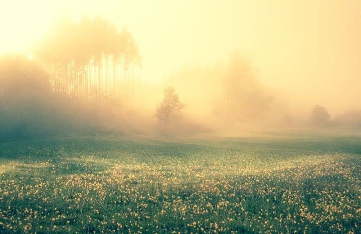 Pic.Source: @Deviantart.com