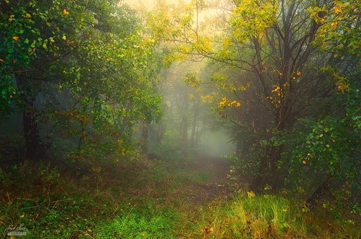 Pic.Source: @Deviantart.com