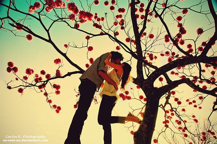Pic.Link: @Deviantart.com