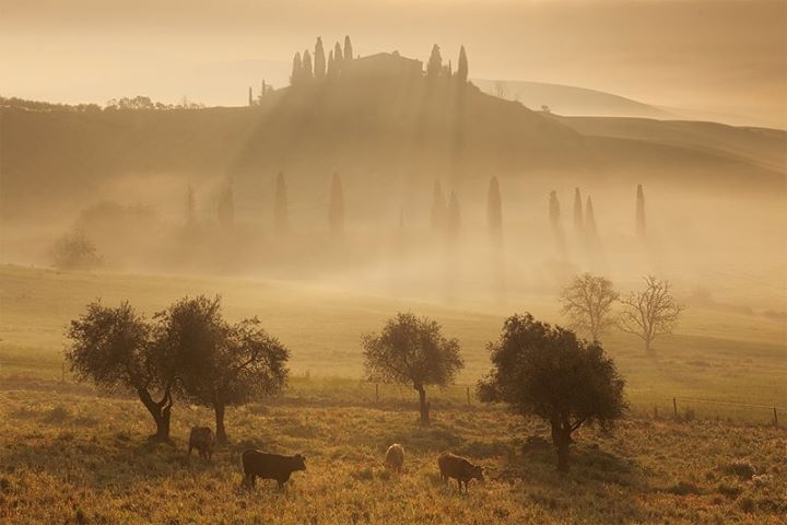 Pic.Source: 'Belvedere' by TobiasRichter @deviantart.com