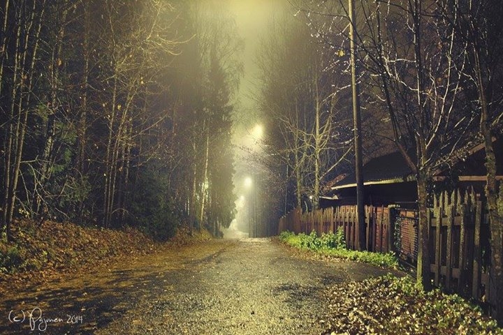 Pic. source: 'This is the life we belong to' by Pajunen @deviantart.com