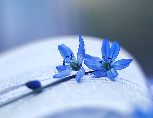Pic.Source: @Deviantart.com