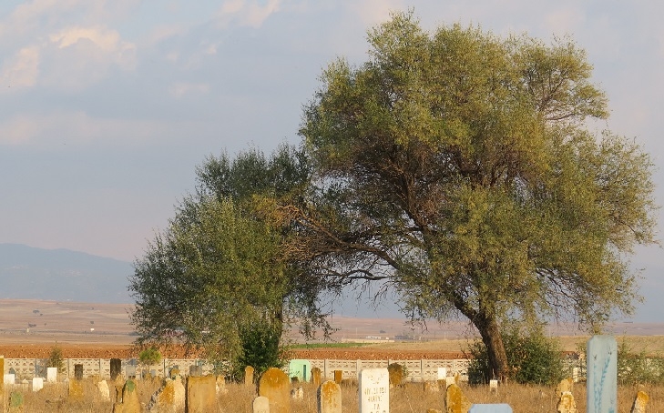 Resim®: MeoEdebiyat - 2014
