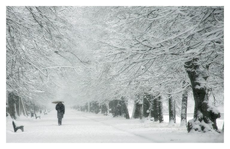 Pic.®: "loneliness" by ssilence @Deviantart.com