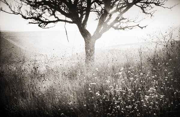 "Here" by etchepare @Deviantart.com
