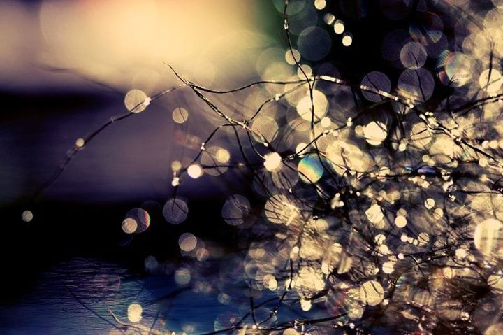Pic. Source: ""Where Fairies Dream." by *incredi @Deviantart.com