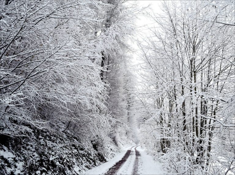 Pic. Source: "Snowland" by Aenea-Jones @Deviantart.com
