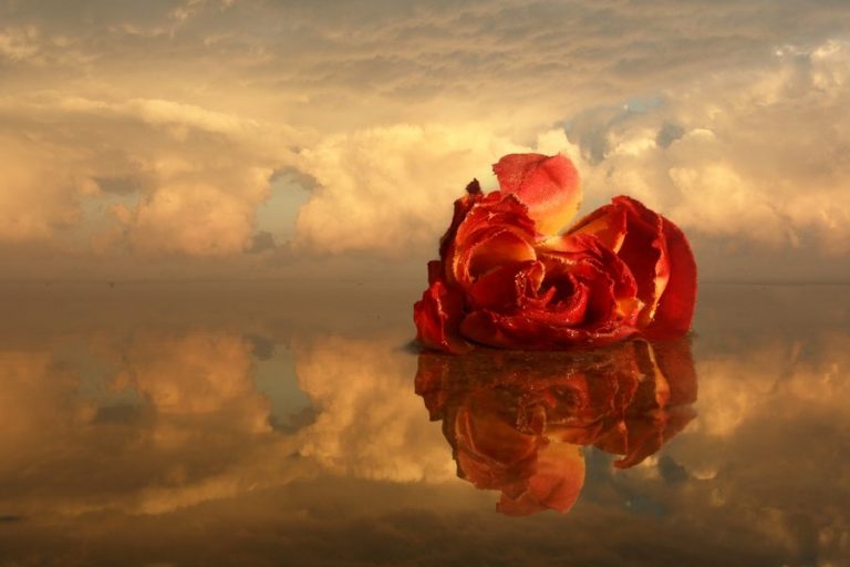 Pic. Source: "Love" by Ahermin @Deviantart.com