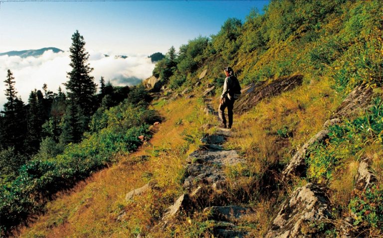 Pic. Source: "Saklı Cennetler Atlası - Samistal Yaylası" @kesfetmekicinbak.com