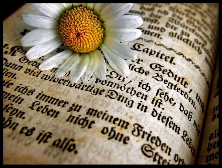 Pic. Source: "Words" by Ssilence @Deviantart.com