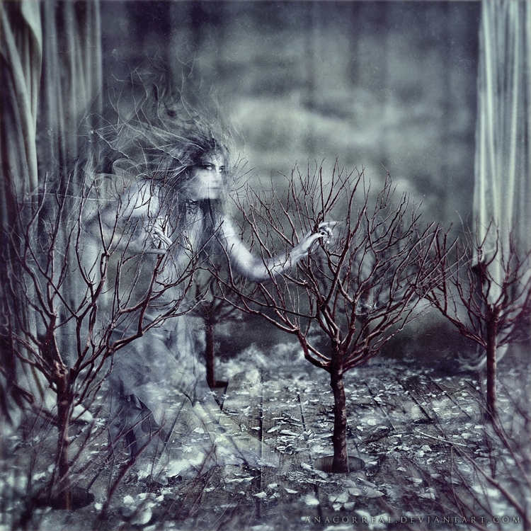 Pic. Source: "In The White" by Anacorreal @Deviantart.com