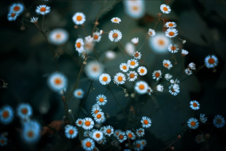 Pic. Source: "__" by inviv0 @Deviantart.com