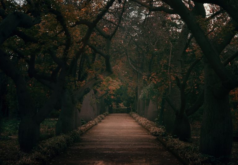 Pic. Source: "Sleepy Hollow" by Inviv0 @Deviantart.com