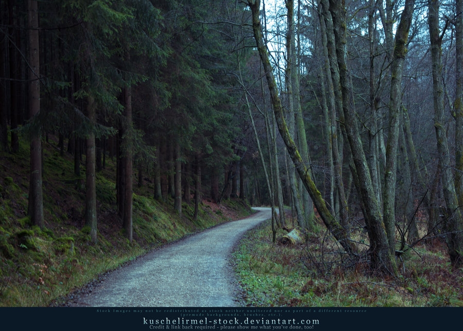 Pic. Source: "Find Your Way 09" by kuschelirmel-stock @Deviantart.com