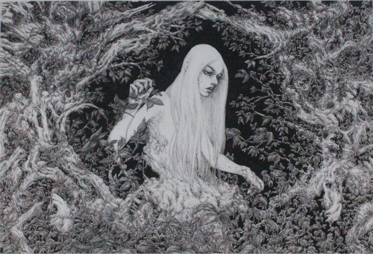 Pic. Source: "Die Sammlerin" by Gyossaith @Deviantart.com