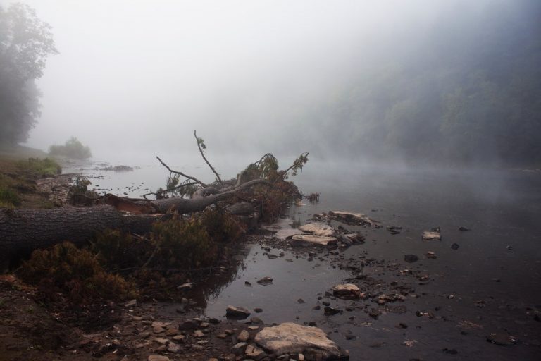 Pic. Source: "Misty River 2" by Salamander-Stock @Deviantart.com