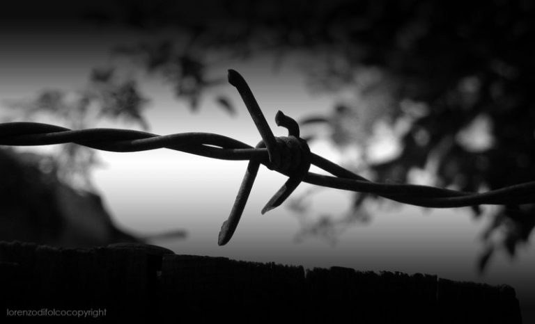 Pic. Source: "Consumer" by Omegabrennus @Deviantart.comBarbed Wire Concentration Camp" by LorenzoDiFolco