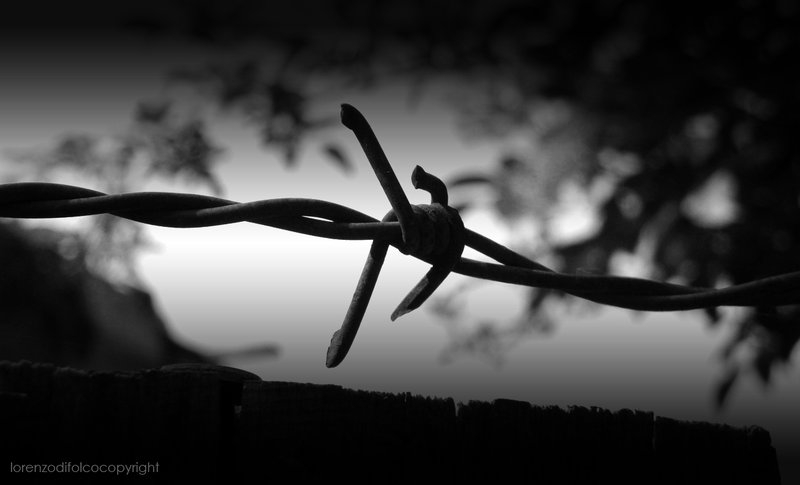 Pic. Source: "Consumer" by Omegabrennus @Deviantart.comBarbed Wire Concentration Camp" by LorenzoDiFolco