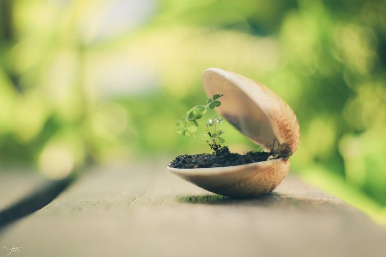 Pic. Source: "Tiny Treasure!" by 13thring @Deviantart.com