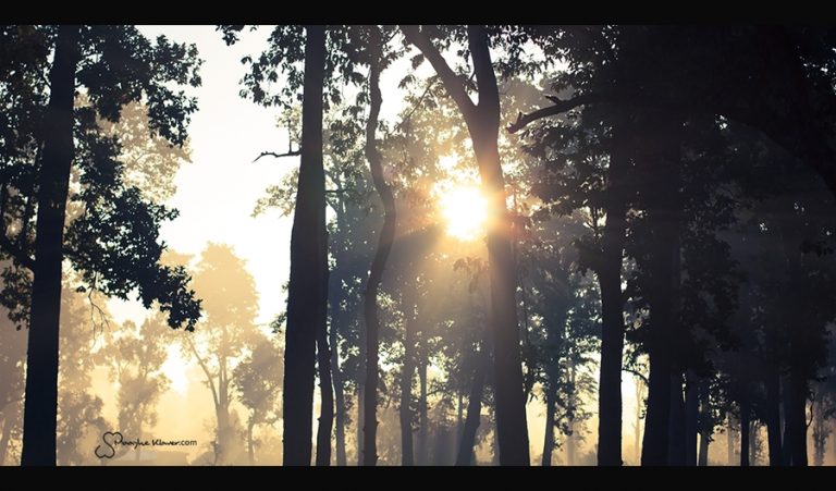 Pic. Source: "Nepal" by Maaykeklaver @Deviantart.com