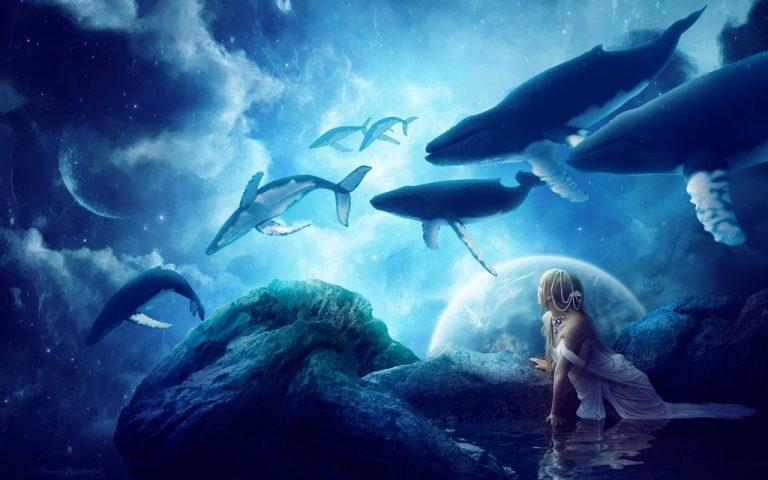 Pic. Source: "Midnight Whales" by Tamarar @Deviantart.com