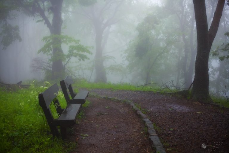 Pic. Source: "She and He" by ildiko-neer @Deviantart.com