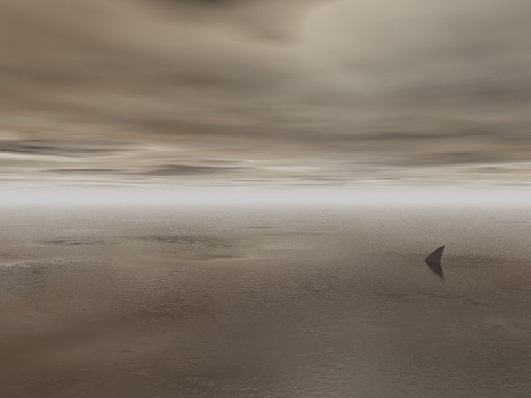 Pic. Source: "Lonely Hunter" by DarkRiderDLMC @Deviantart.com