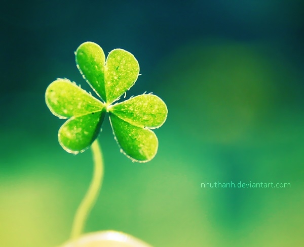Pic. Source: "The Reason" by nhuthanh @Deviantart.com