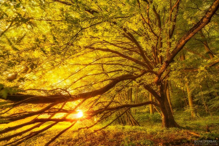 Pic. Source: "Morning Has Broken" by Unkopierbar @Deviantart.com