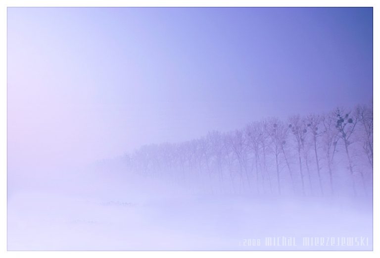 Pic. Source: "Silent" by Werol @Deviantart.com