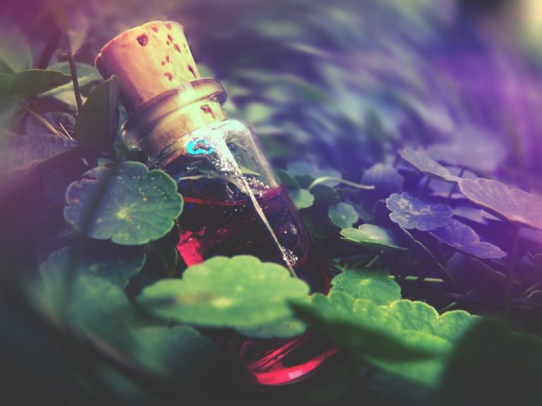Pic. Source: "Forgetful Faeries" by Sarah Elizabeth @Deviantart.com