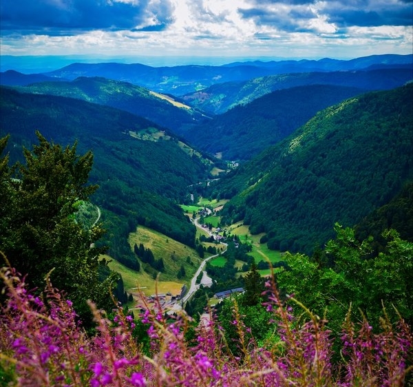 Pic. Source: "Down in the Valley" by Aenea-Jones @Deviantart.com