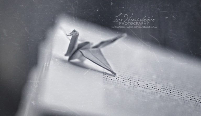 Pic. Source: "You Cannot Fly" by Indigosummer @Deviantart.com