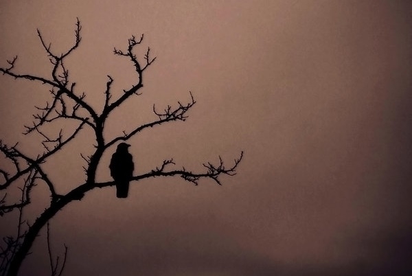 Pic. Source: "Tomorrow Is Near" by Alexandrinaana @Deviantart.com