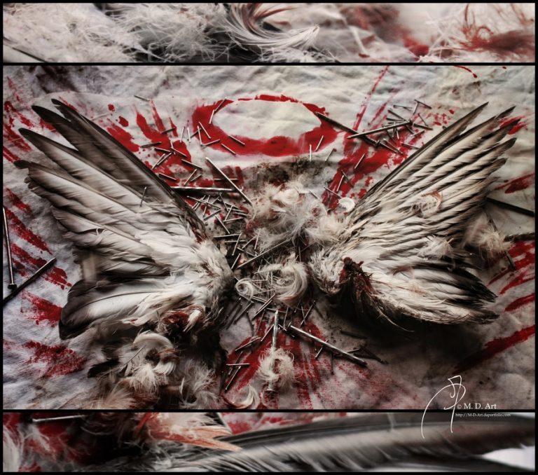 Pic. Source: "Broken Wings" by Matthesamurai @Deviantart.com