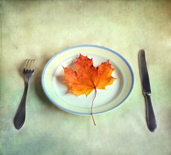 Pic. Source: " Enjoy your fall" by iTaylie @Deviantart.com