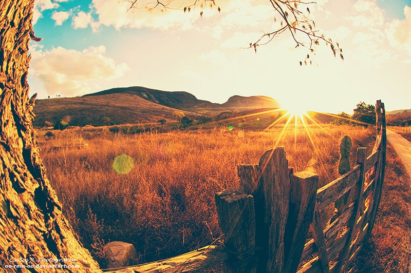 Pic. Source: "Power of Sun" by Rein @Deviantart.com