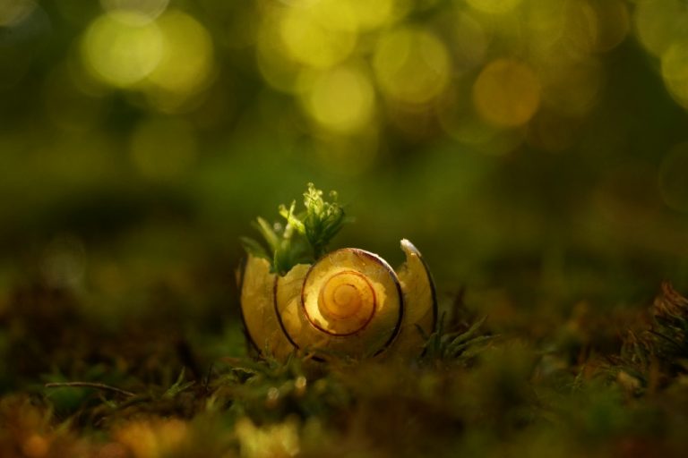 Pic. Source: "img0731172721" by Rick Tinyworlds @Deviantart.com