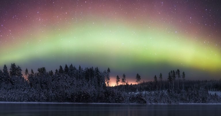Pic. Source: "Kiss of The Night" by m-eralp @Deviantart.com