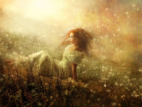 Pic. Source: "Dandelion" by Valse des Ombres @Deviantart.com