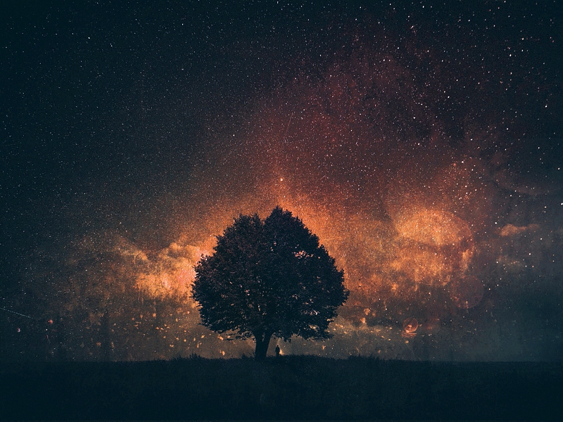 Pic. Source: "..." by Baxiaart @Deviantart.com