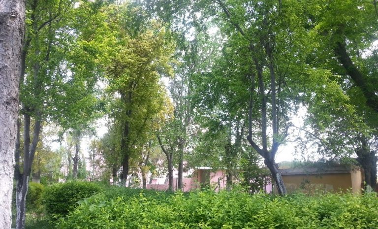 MeoÖykü – Köy Öğretmen Parkı